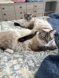 Poppie & Pip - Photo 3