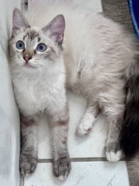 Poppie & Pip - Photo 4