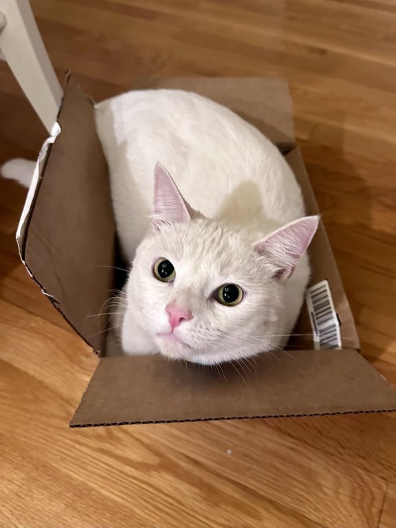 Milky Image
