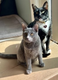 Misty and Mama Bella - Photo 3