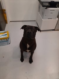 Kona - Photo 1