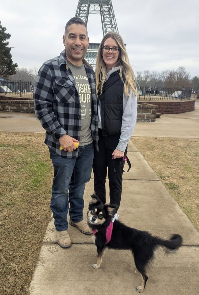 LUNA (JINXY)~ - Pomeranian / Chihuahua available for adoption