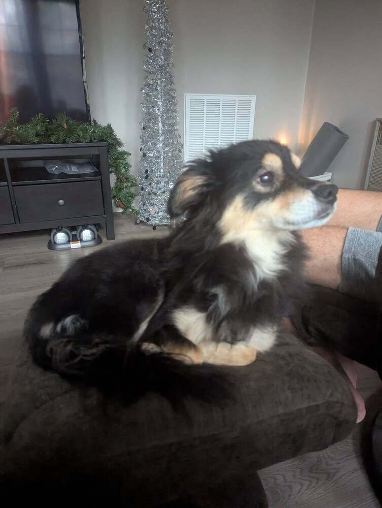 Luna (Jinxy)~ - Photo 4