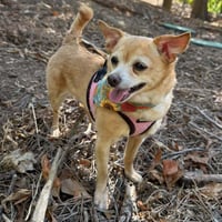 Chloe aka (Lighting)~ - Photo 3