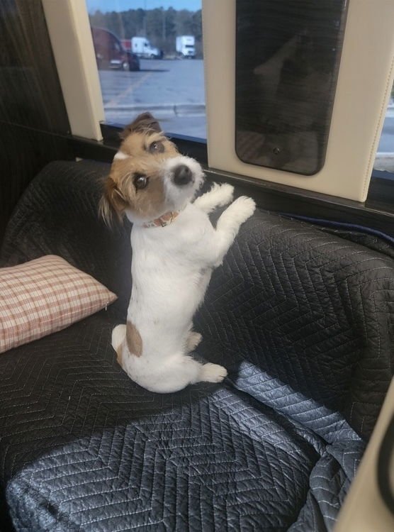 Ruby Jean ~ - Photo 3