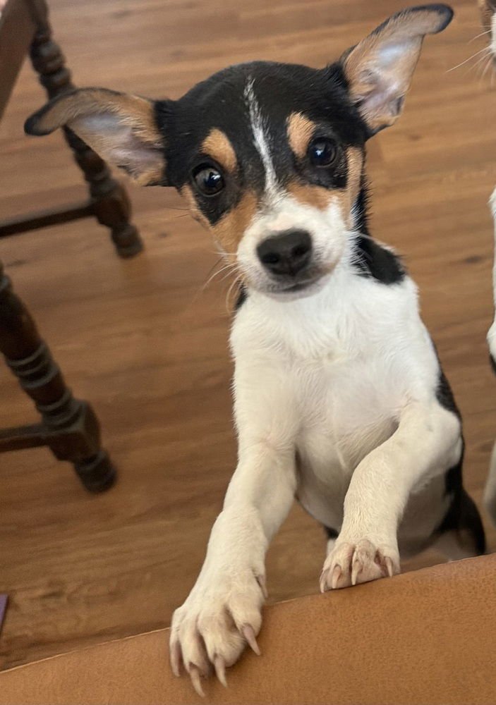 Jilly Bean ~ - Photo 3