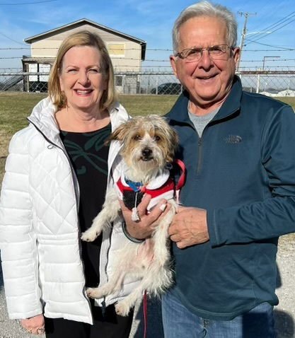 SNOOPY* - Jack Russell Terrier available for adoption
