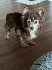 Coco~ - Photo 1