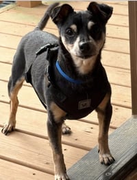 Gillie~ - Photo 4