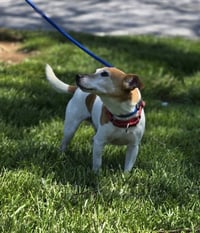 Trevor * - Photo 4