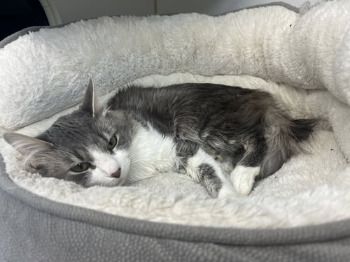 MURDOCK 1/2YRS