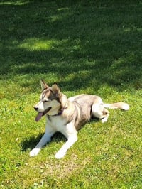 Peaches - Photo 1