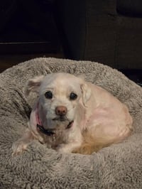 Chloe - Photo 1