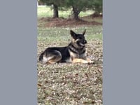 Bonnie - Photo 1