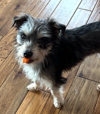 MIA - Photo 3