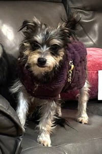 MIA - Photo 4