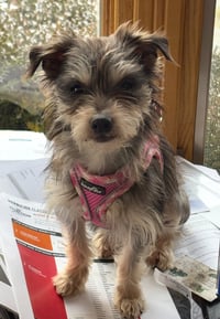 MIA - Photo 5