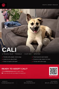 Cali - Photo 1
