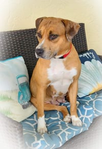Peaches - F - Photo 7