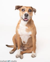 Peaches - F - Photo 4