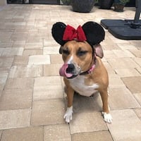 Peaches - F - Photo 6