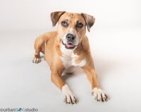 Peaches - F - Photo 1