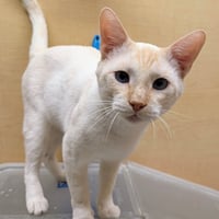 Willy - Photo 5