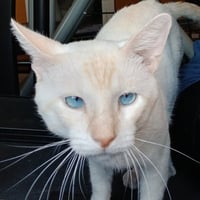 Willy - Photo 10