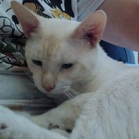 Willy - Photo 12