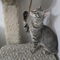 Gabby - Photo 6