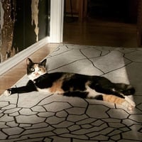 Hemi - Photo 2