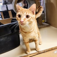 Ralphie - Photo 22