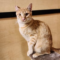 Ralphie - Photo 11