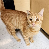Ralphie - Photo 19