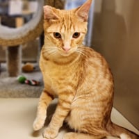 Ralphie - Photo 25