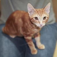 Fred - Photo 1