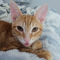Fred - Photo 3