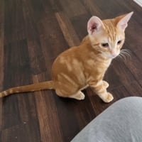 Fred - Photo 6