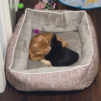 Fred - Photo 5