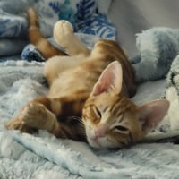 Fred - Photo 4