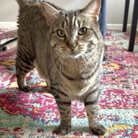 Sheila - Photo 8