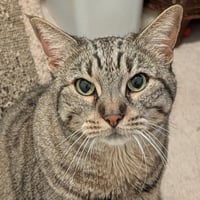 Sheila - Photo 5