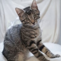 Cash - Photo 1