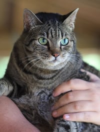 Cleo - Photo 1