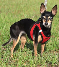 Dorothy - Photo 3