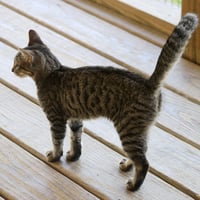 Maryann - Photo 3