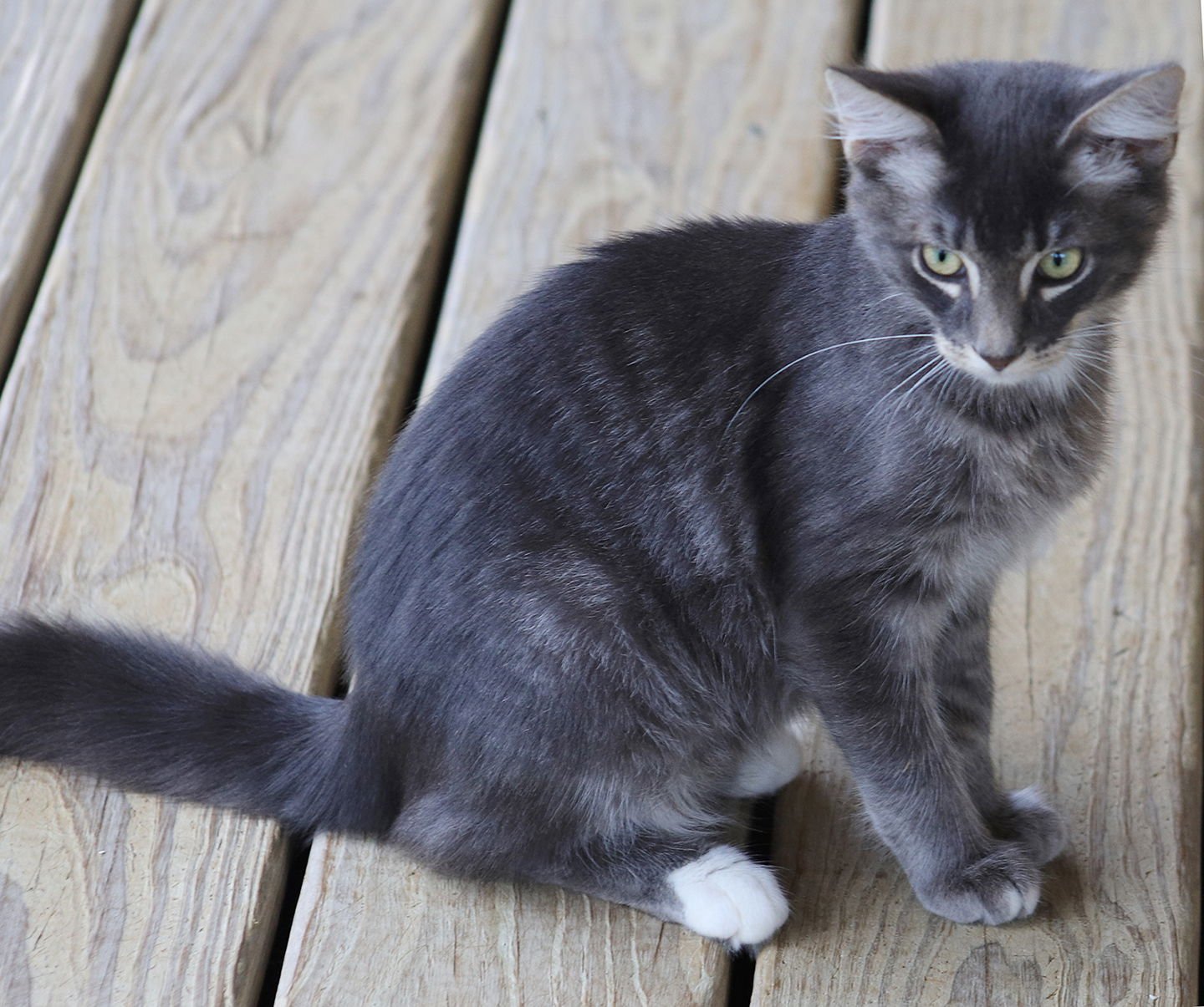 Clock - CSC - Photo 3