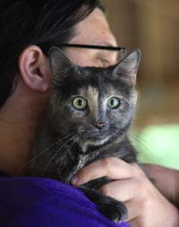 Willow - Photo 2