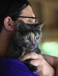 Willow - Photo 3
