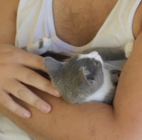 Tito - Photo 3
